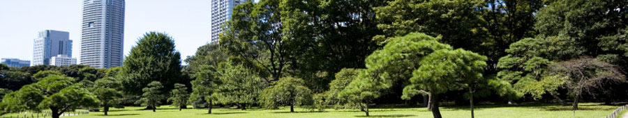 BLISS INTERNATIONAL 株式会社